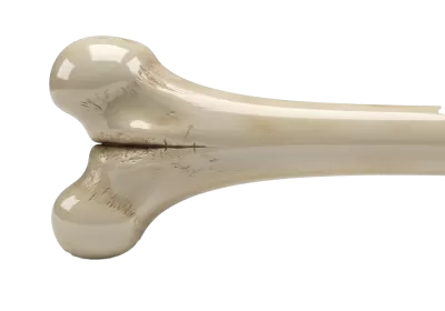 Imagen PNG para descargar